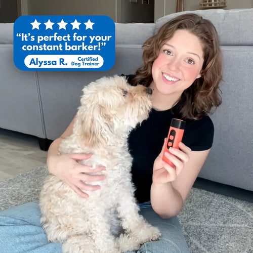 1x BarkPatrol