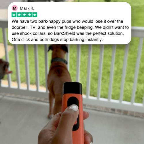 1x BarkPatrol
