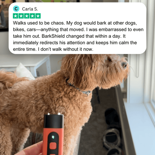 1x BarkPatrol