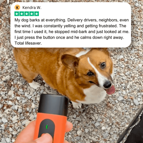 1x BarkPatrol