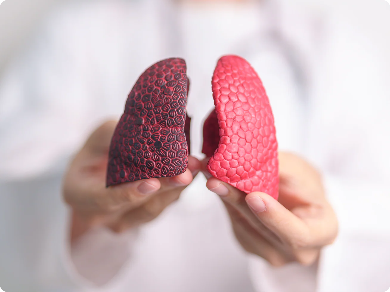 Most lung supplements soothe — they don’t clean.