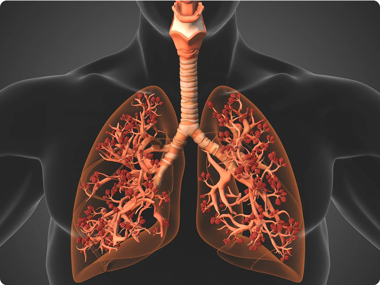 Breathe Easy in 3 Simple Steps