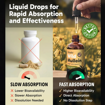 Mullein + Chlorophyll Lung Drops