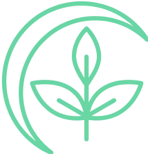 Herbal Powerhouse Blend